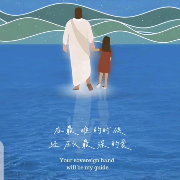 沙仑玫瑰