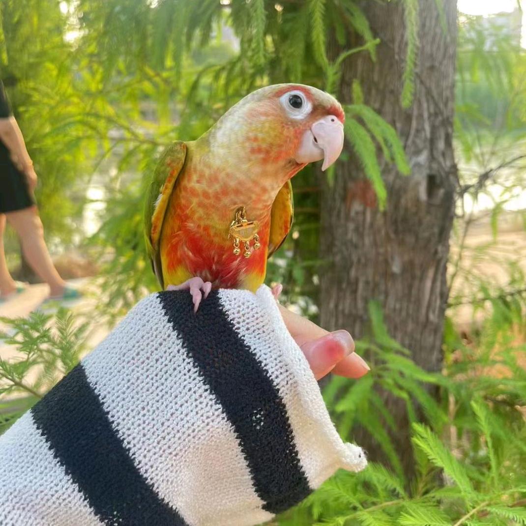 爱笑的娟儿💕