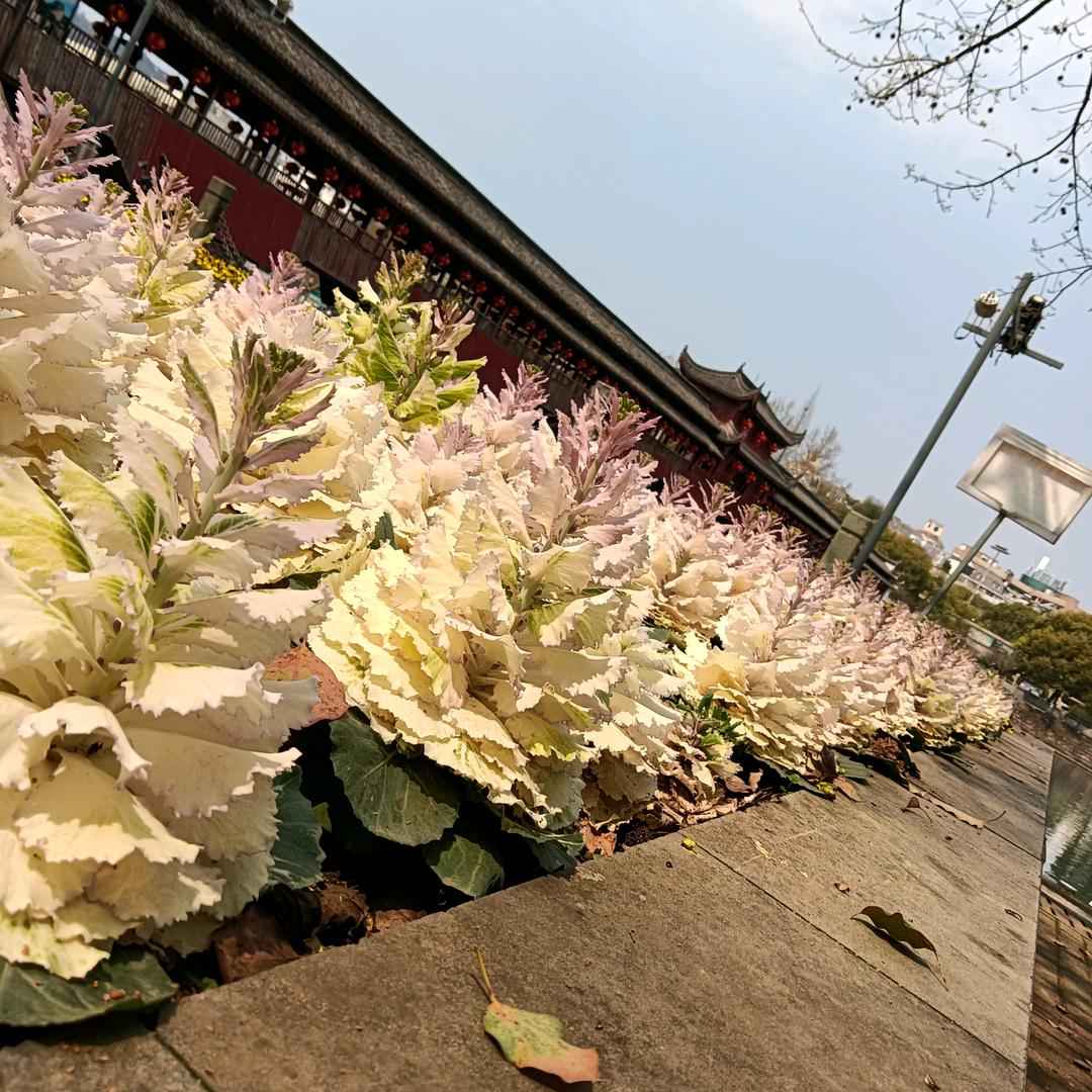 三少