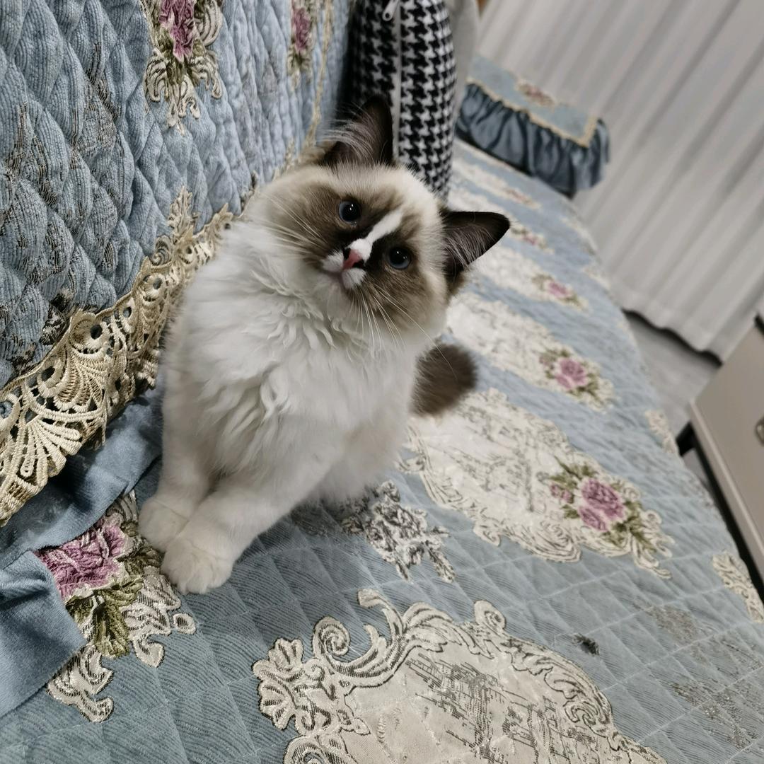 燚