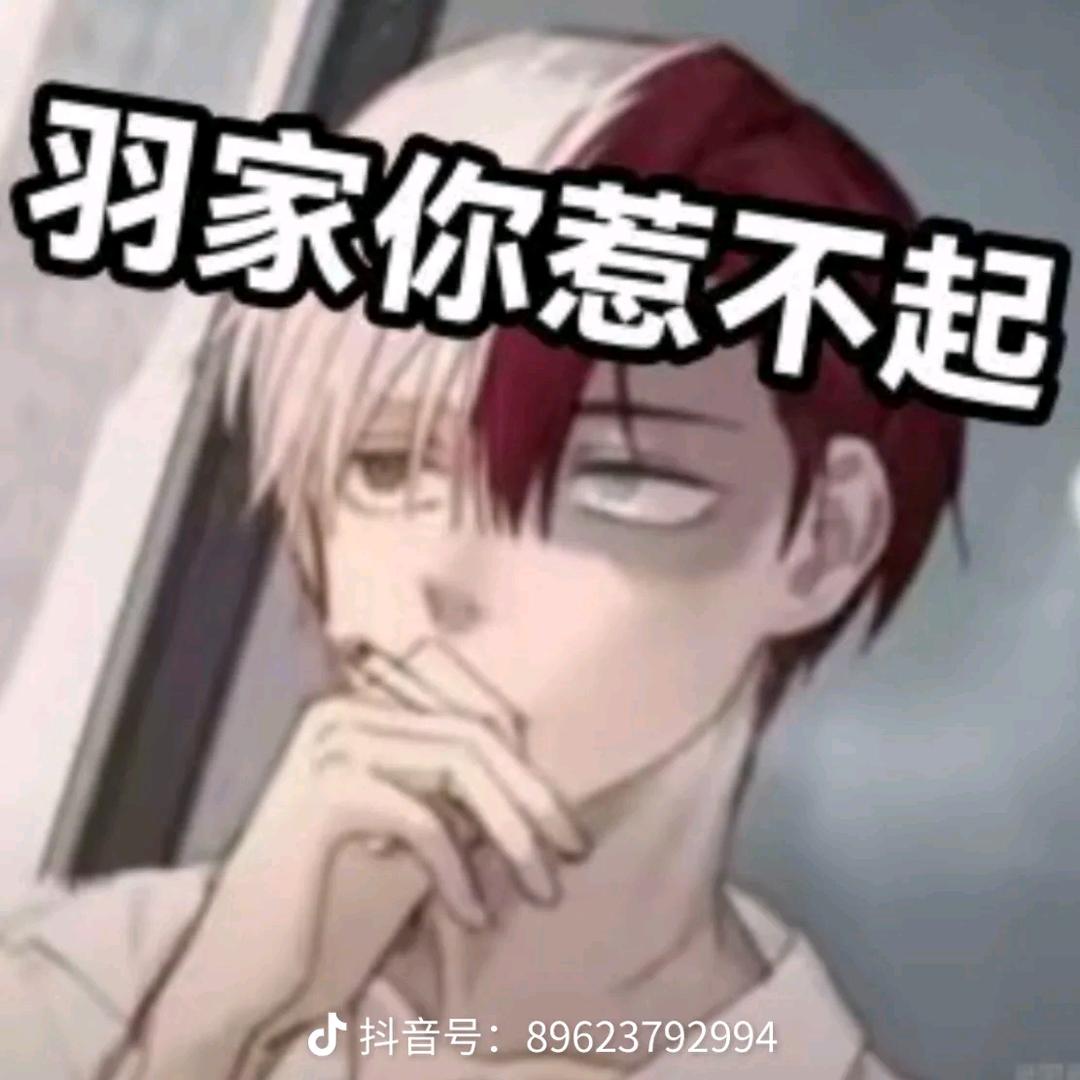 是羽不是少羽sy