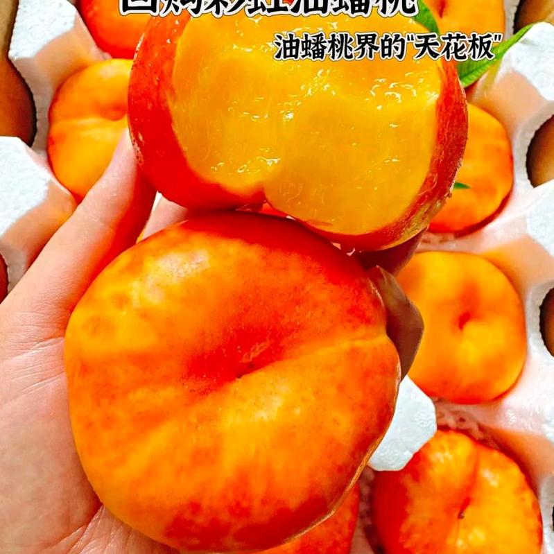 彩虹油蟠桃🍑黄桃原产地(小徐)