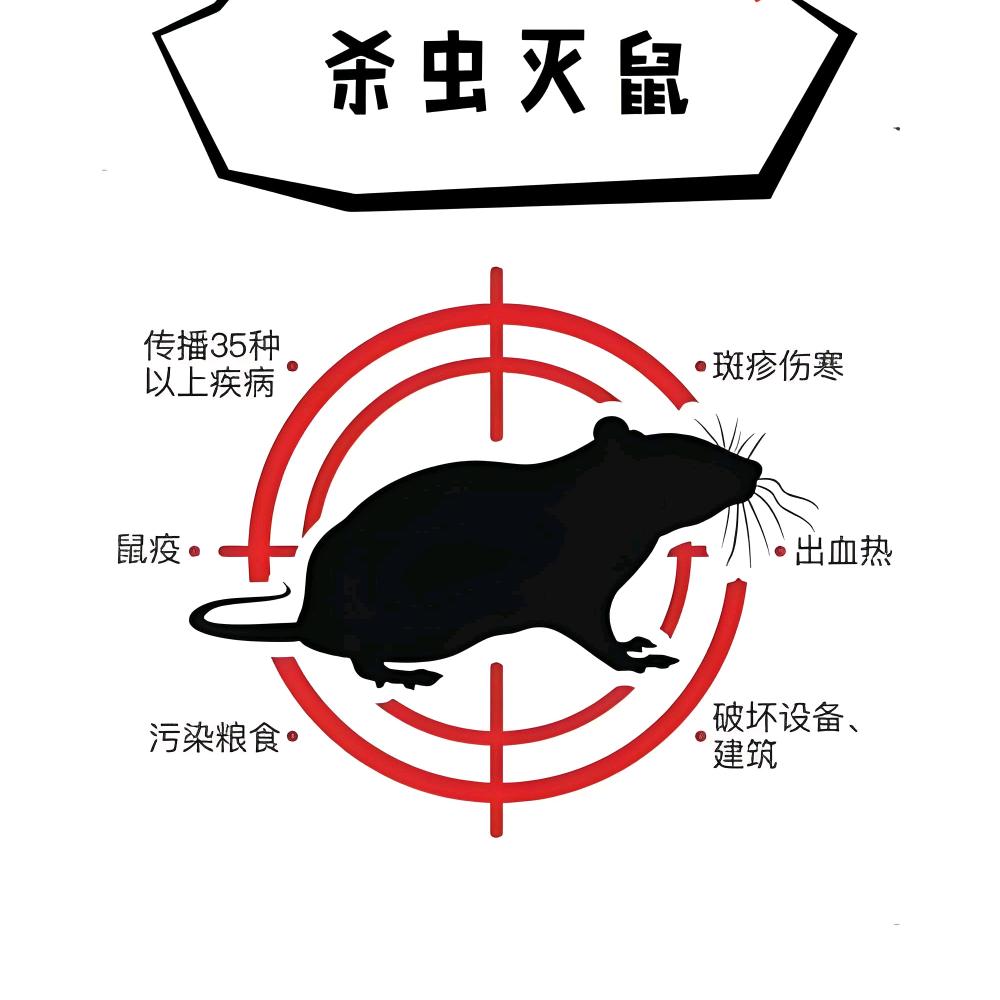 灭鼠专家（进入橱窗可以购买)