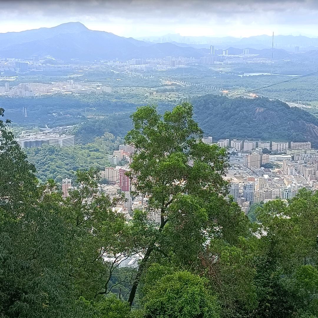 半生已过一场空