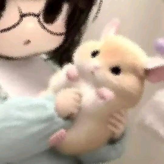 聪明小郭