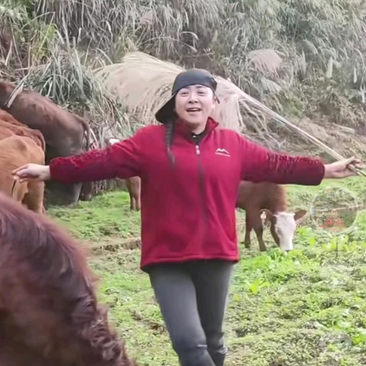 黑溪场口牛肉（生活号）