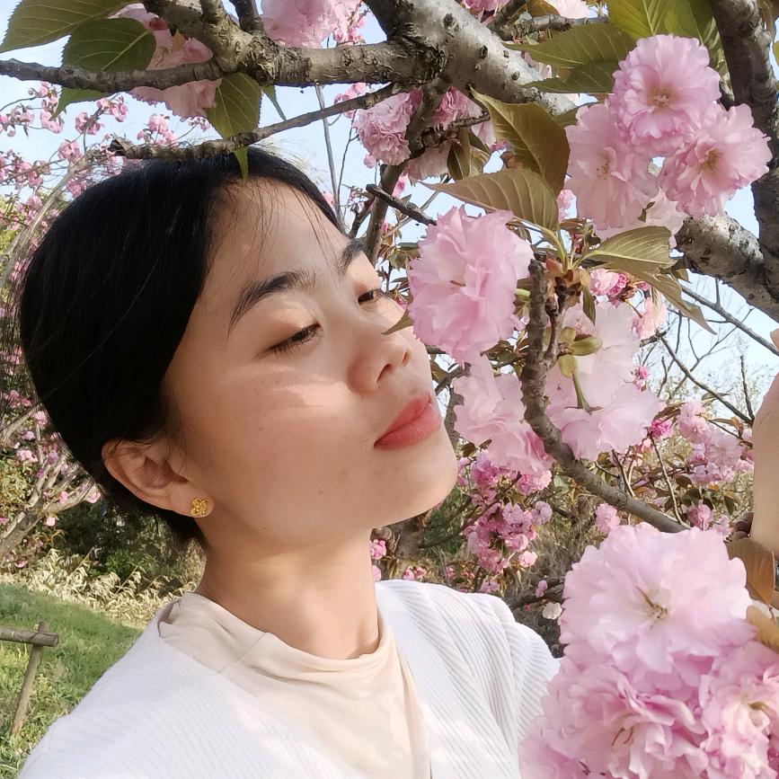 @燕子