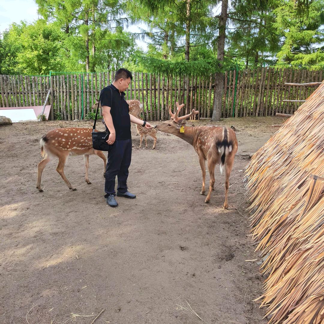 釋懷（卷土重来）