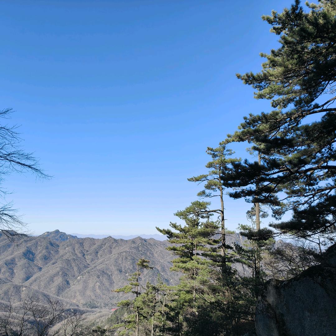 刘家两千金（拒绝连赞）