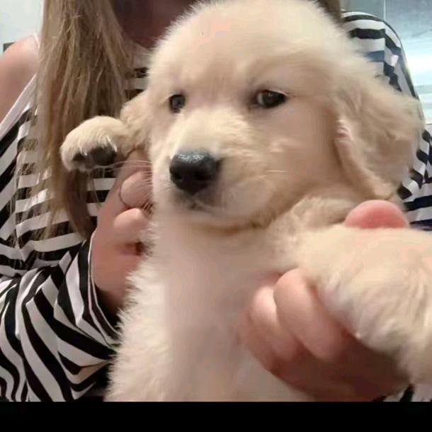 @要不要吃老鼠药