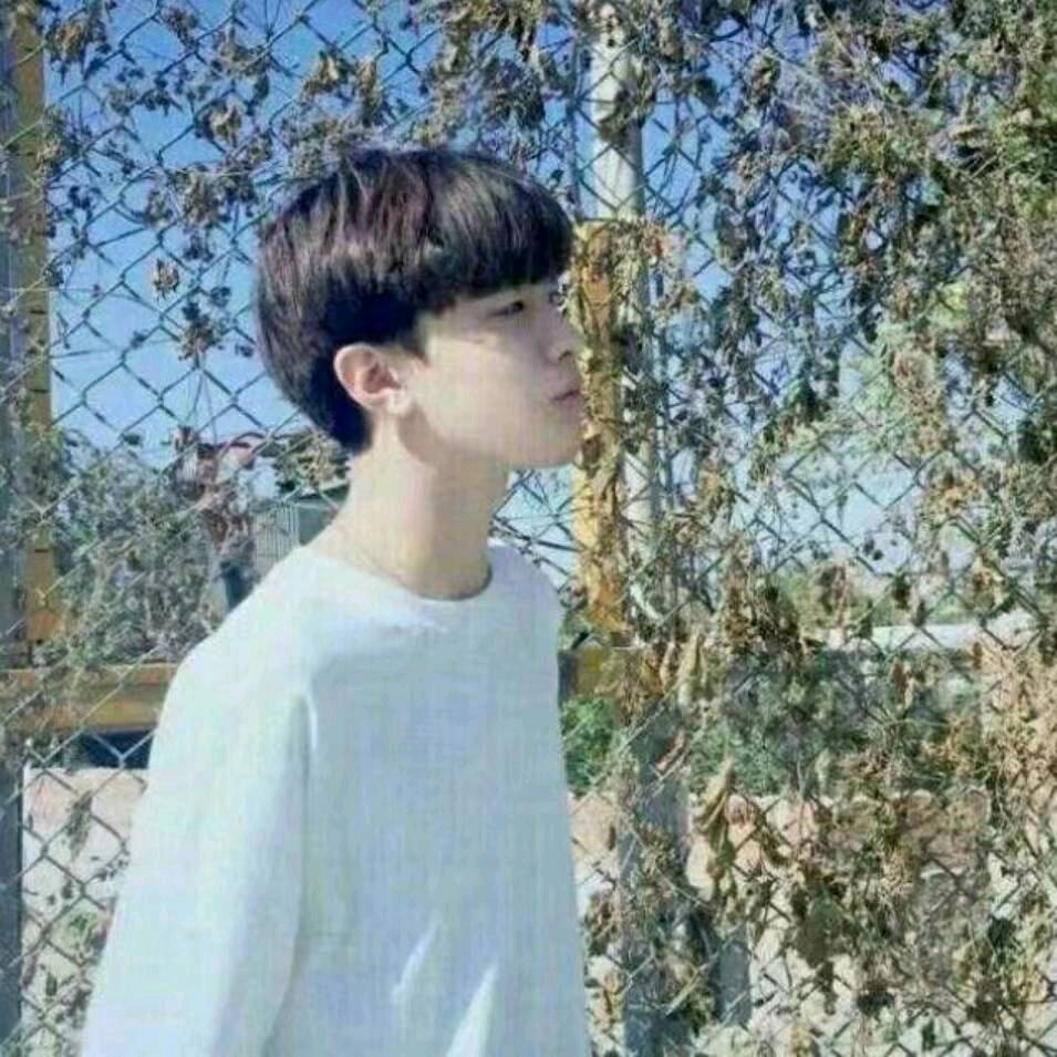 承诺在美美卜过虚伪