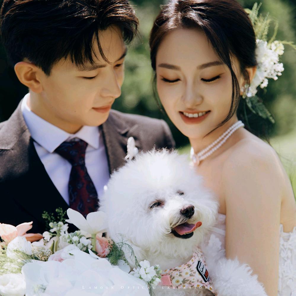 🍑🍑的备婚装修日记