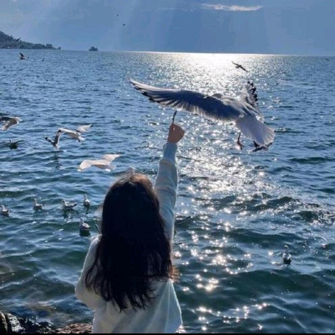 悦悦百货