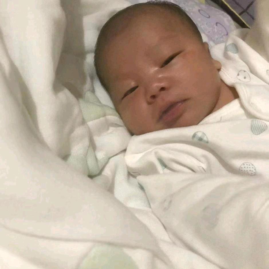 懒羊羊当大厨