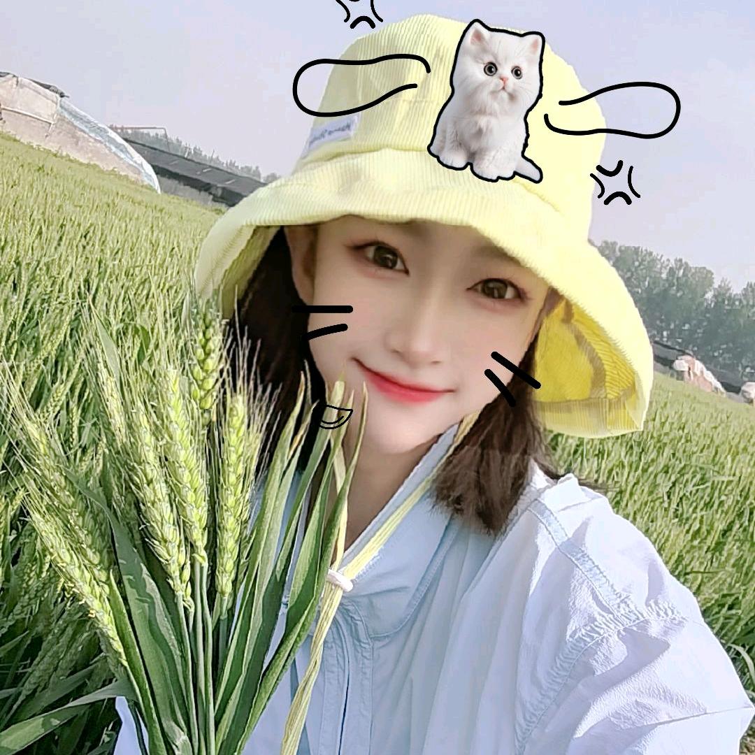 🌱小白美食日记