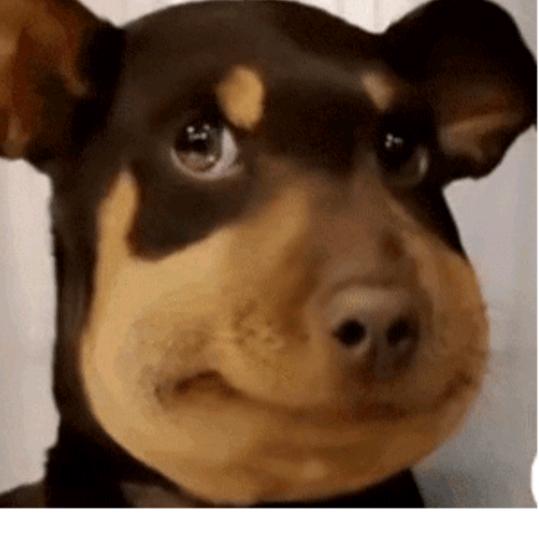 KG