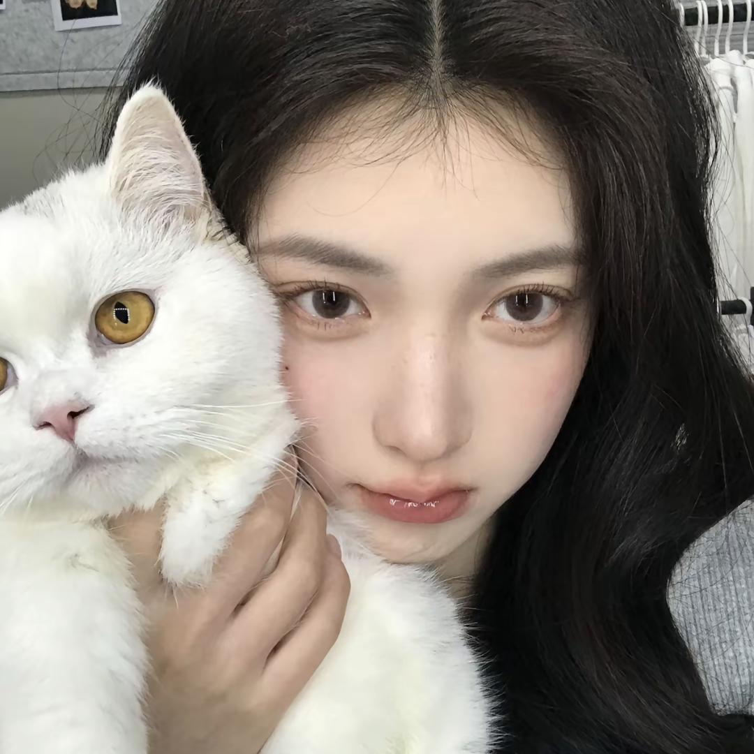 流浪猫狗避风港