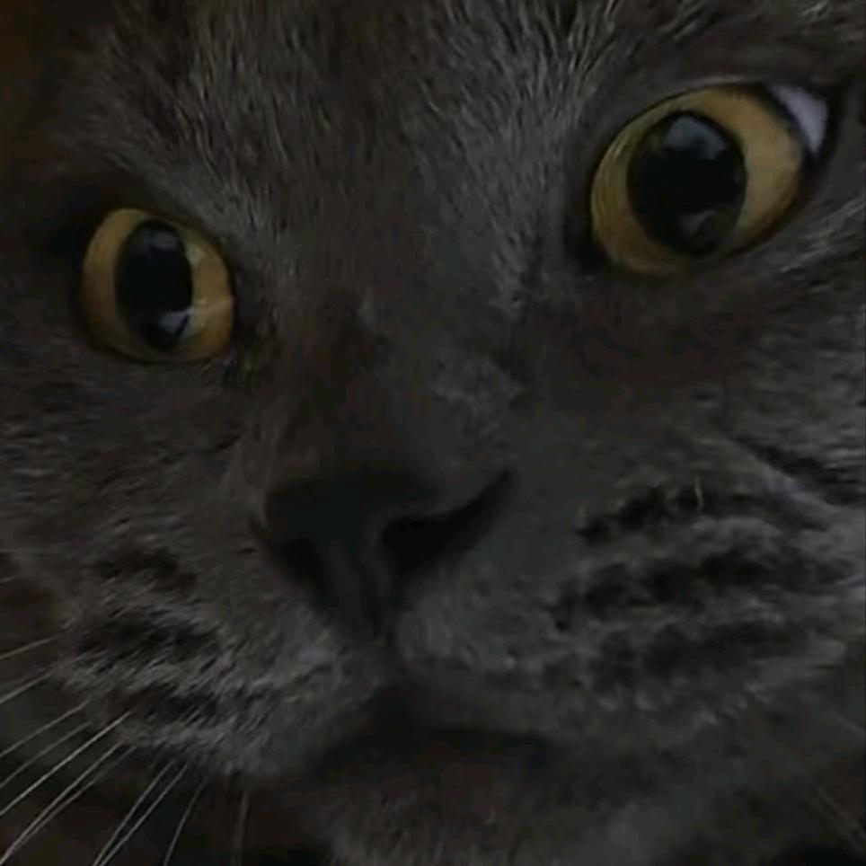 心若不动，风又奈何。