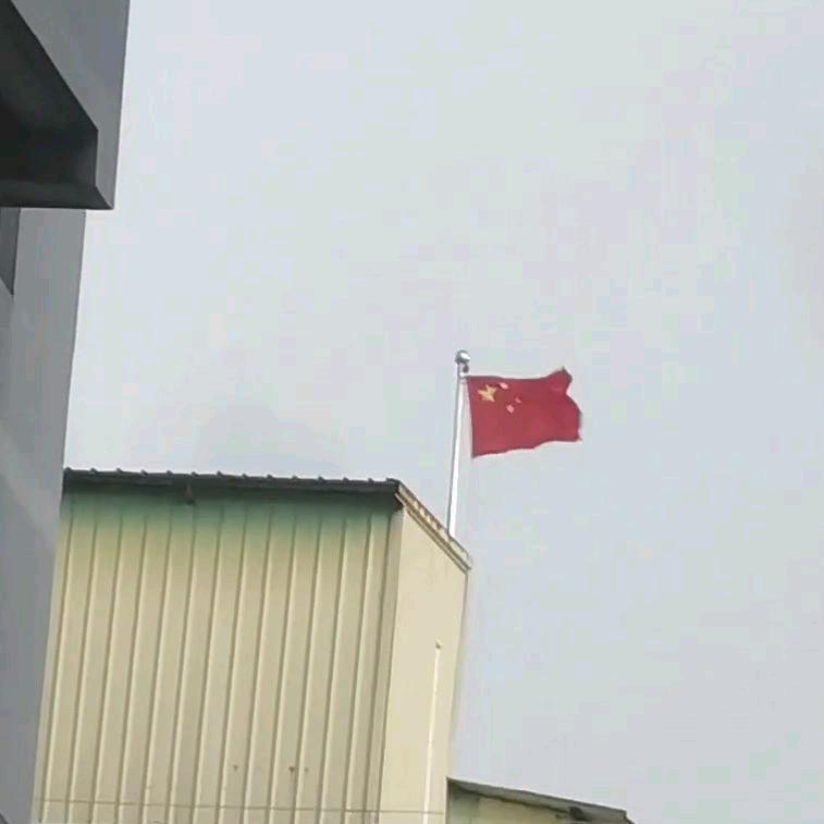 成心
