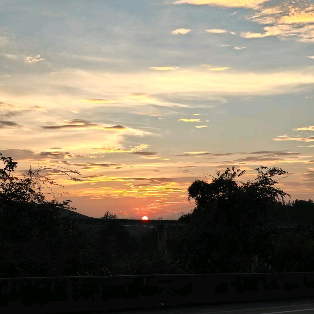 雨落幽林(ꈍᴗꈍ)