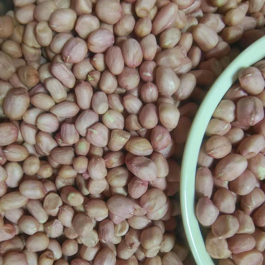 确山县艺红农业经营部