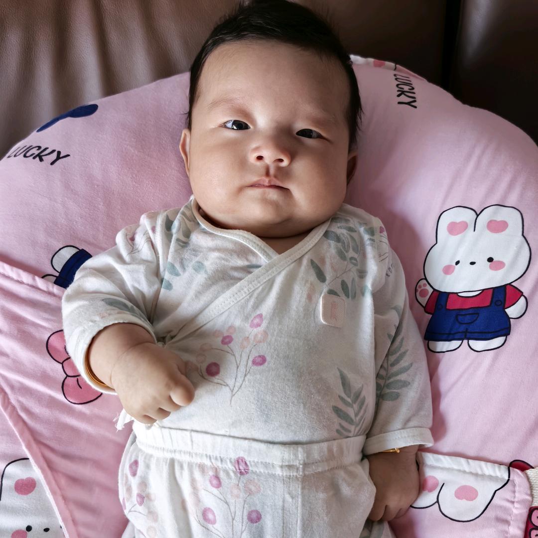 玫瑰的故事