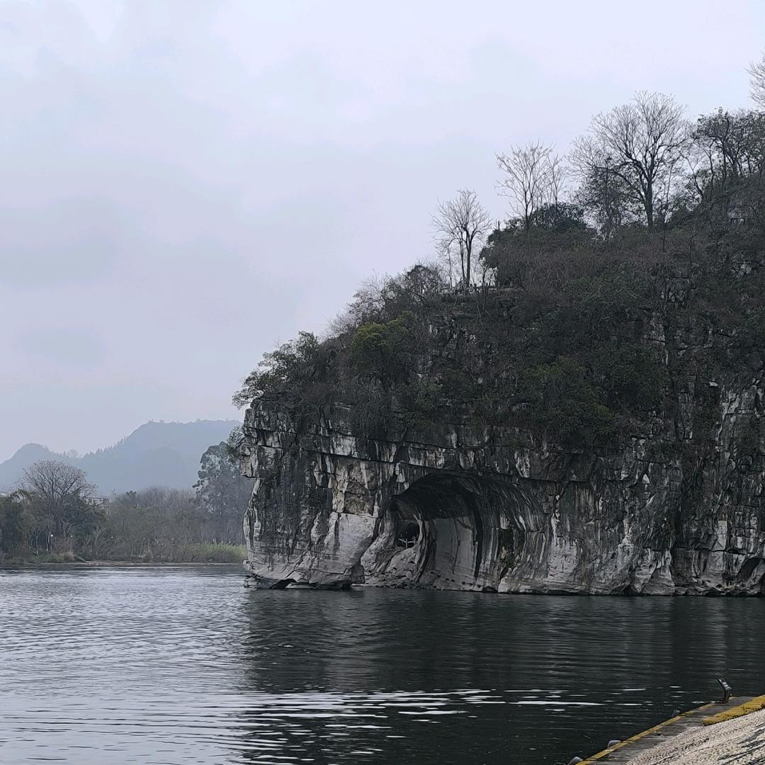小凉薯