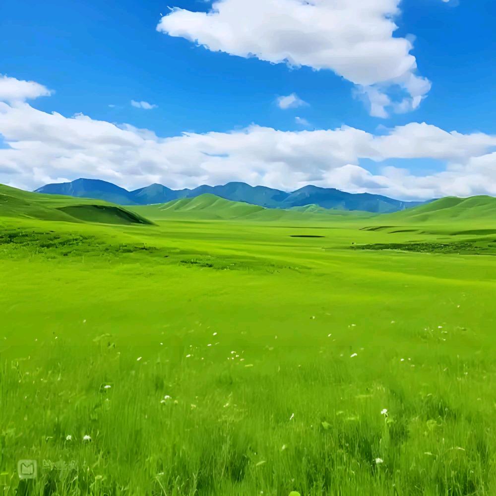 草原伴酒