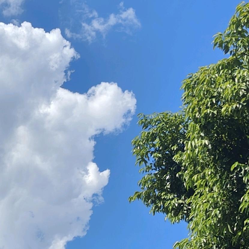 互联网被骗九十九