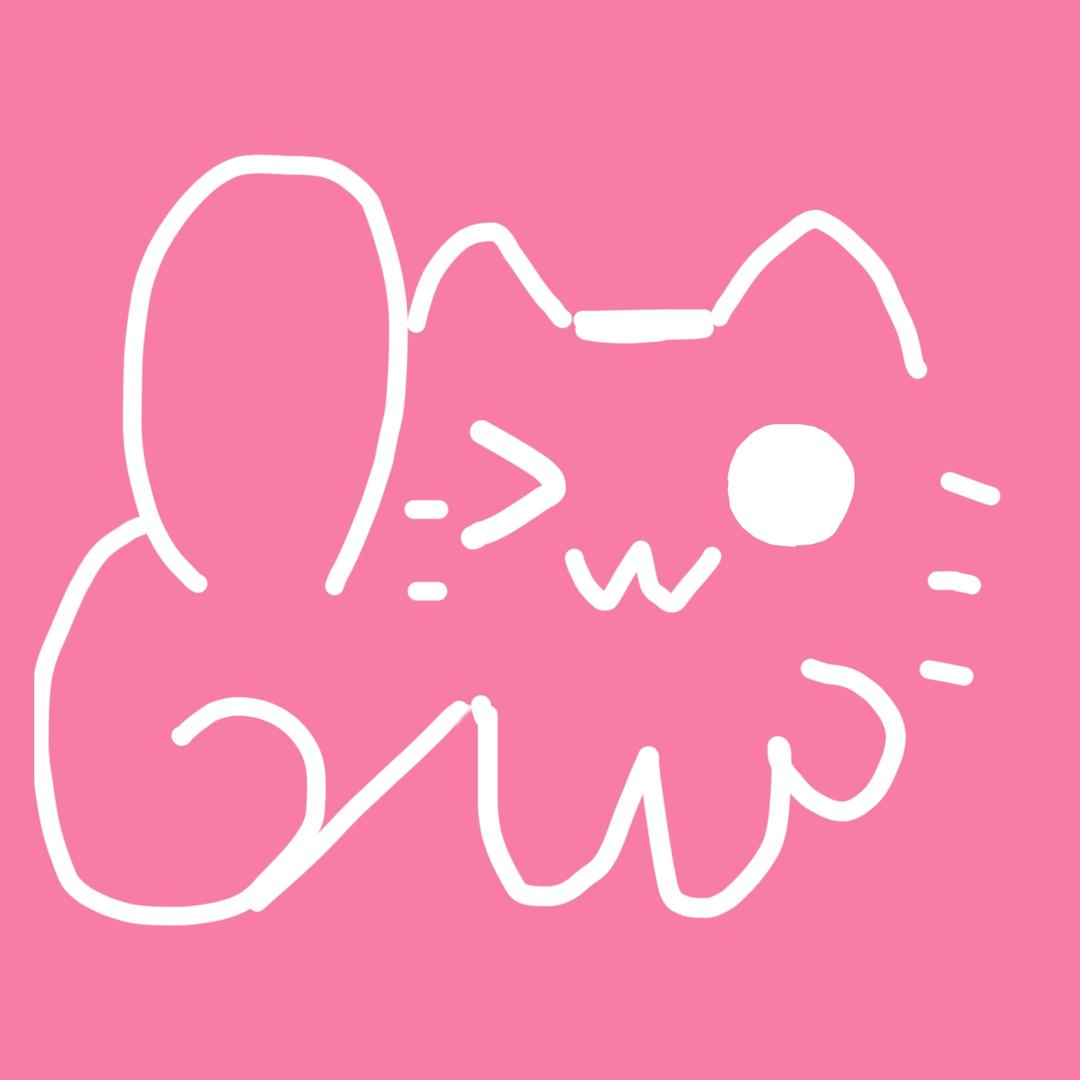 薛定谔的猫🏸