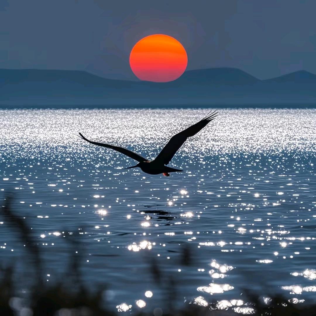 昕墟里好物推荐