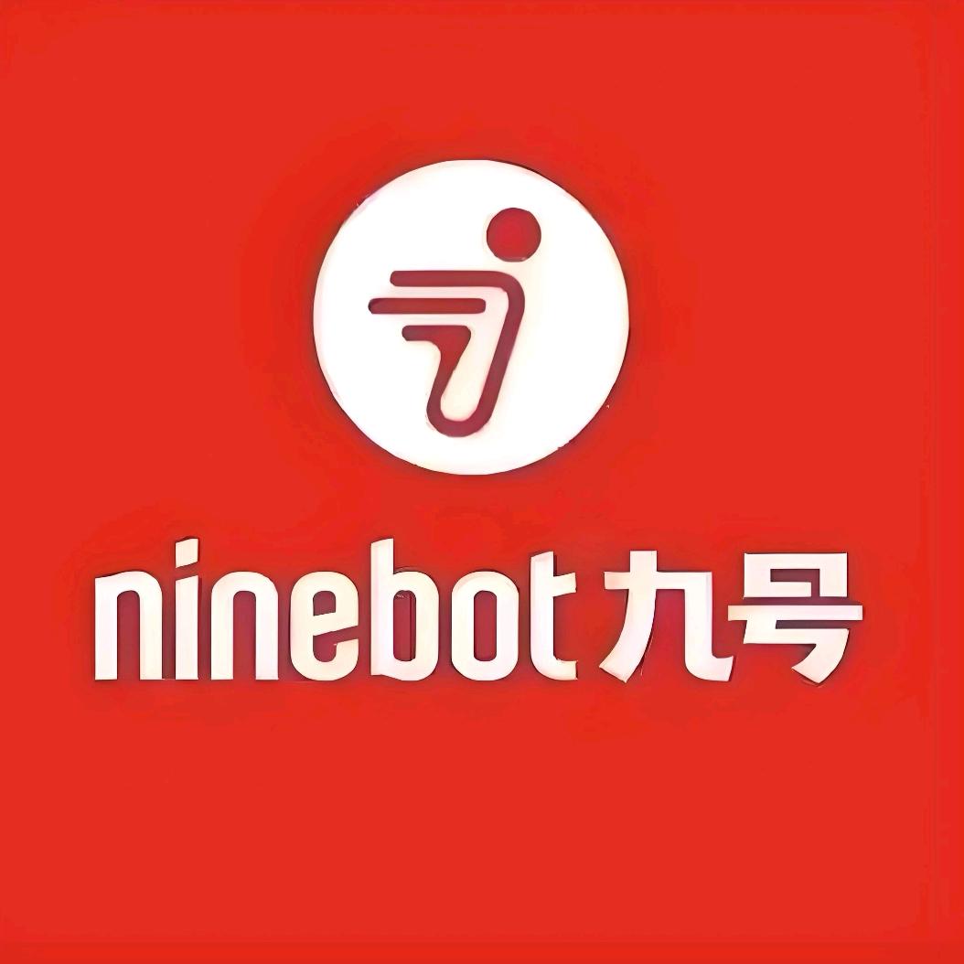 龙的传人