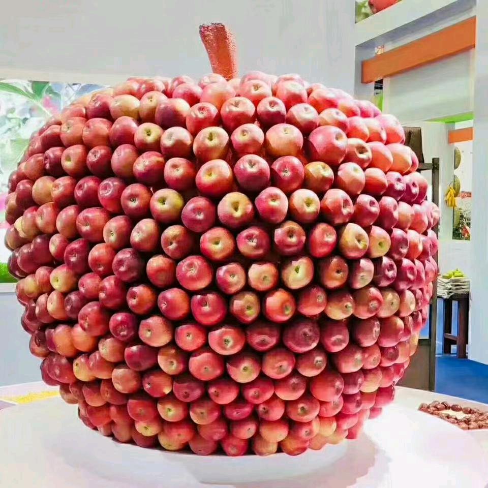 说你家屋头的