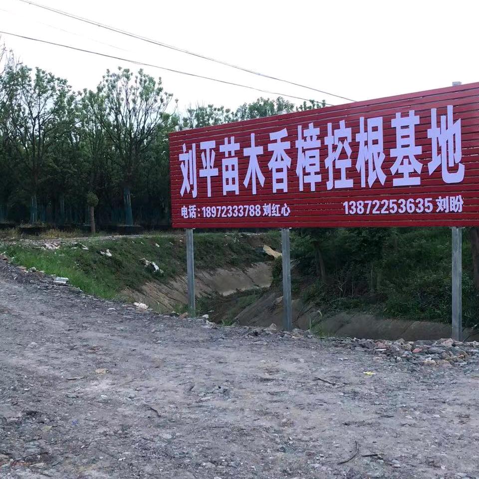 刘平苗木