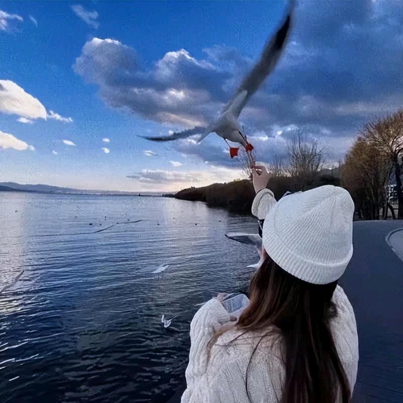 🦋 এº᭄ 㞮💞 孞༊ ړ࿐🦋: