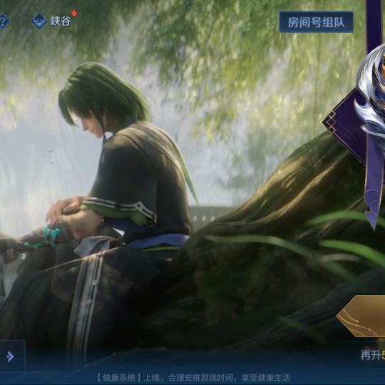 王者荣耀，神坑