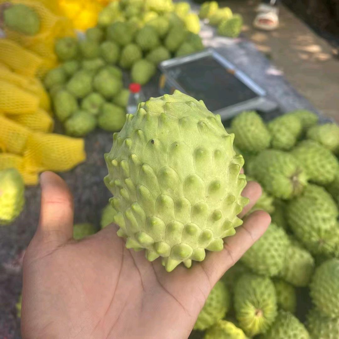 春林优选