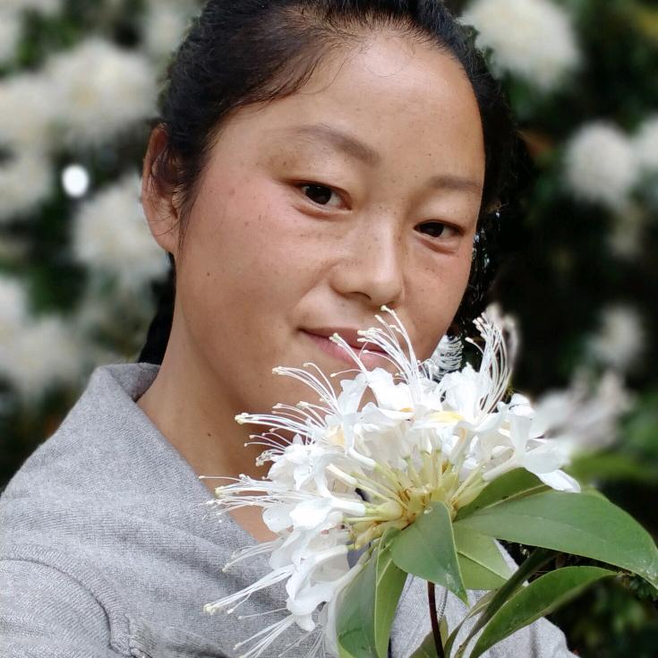 康菊豪东(拒绝)