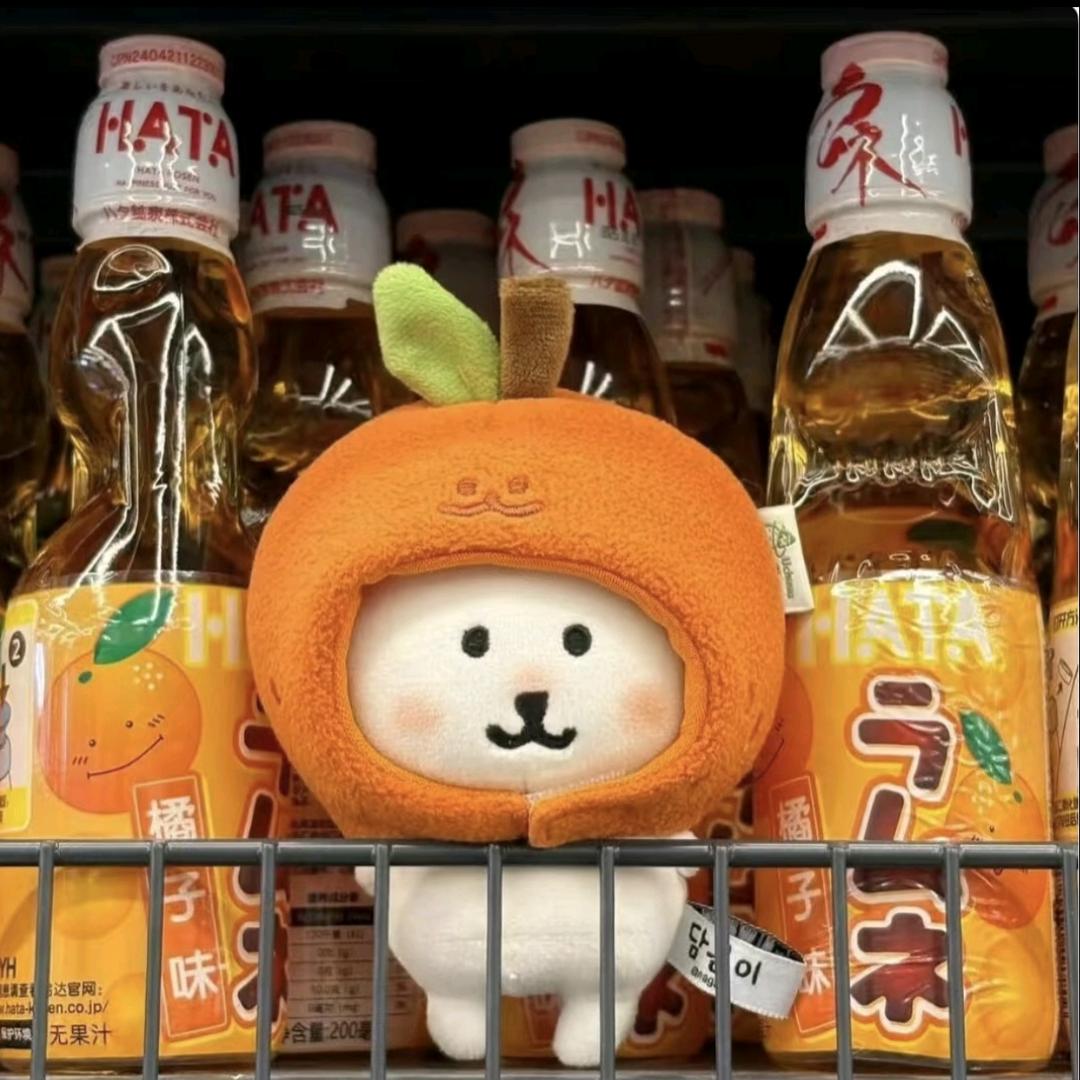 🍊🍊🍊