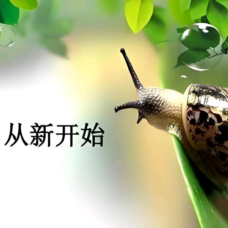 从新开始！！！