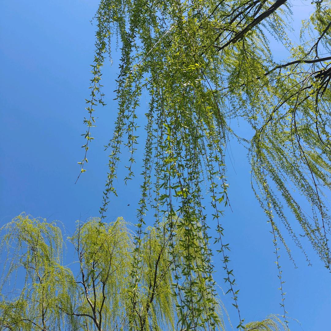星艾甄选好物