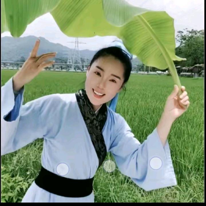 海棠⑦