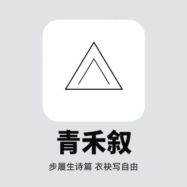 青禾叙女装—2 号店