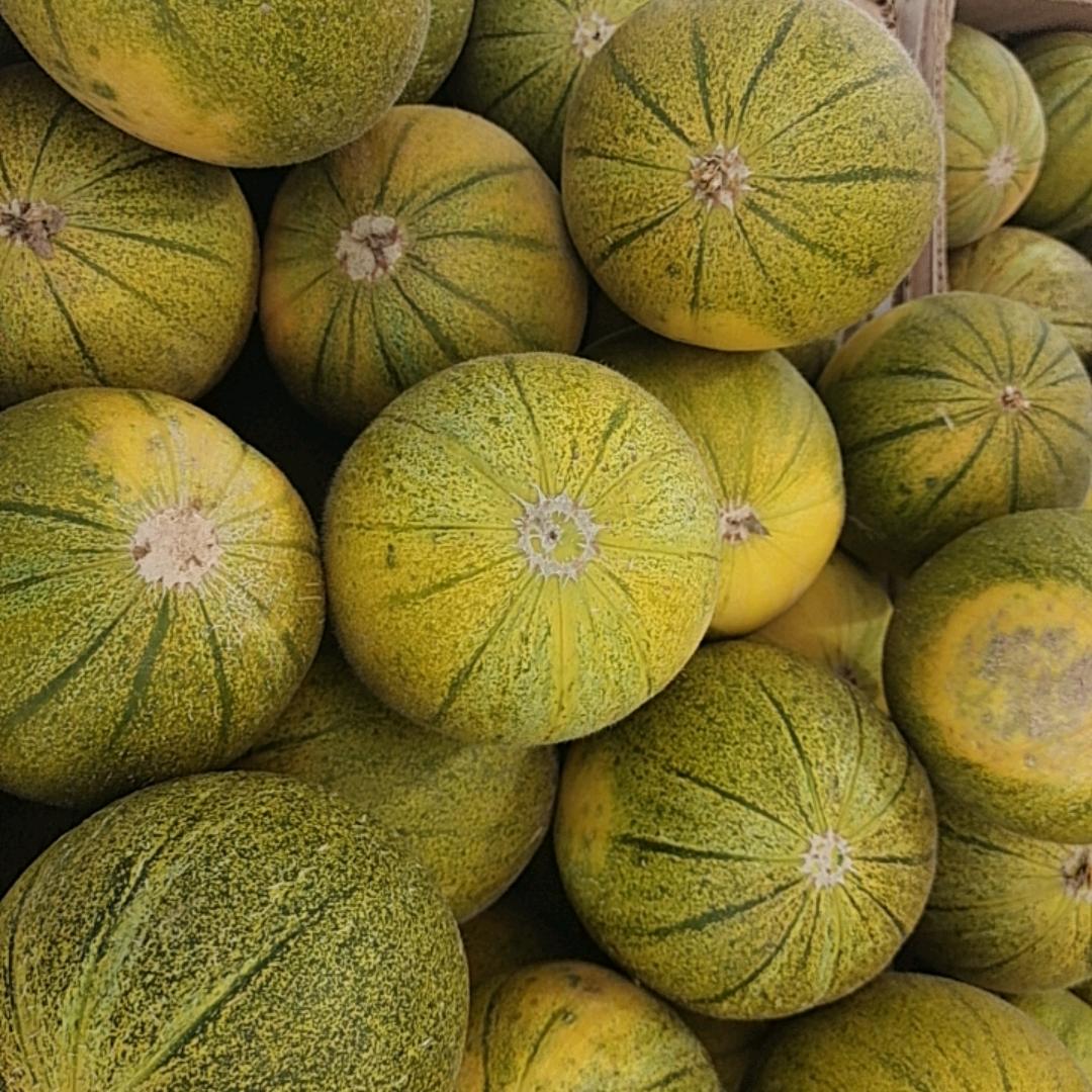 磴口县华莱士瓜