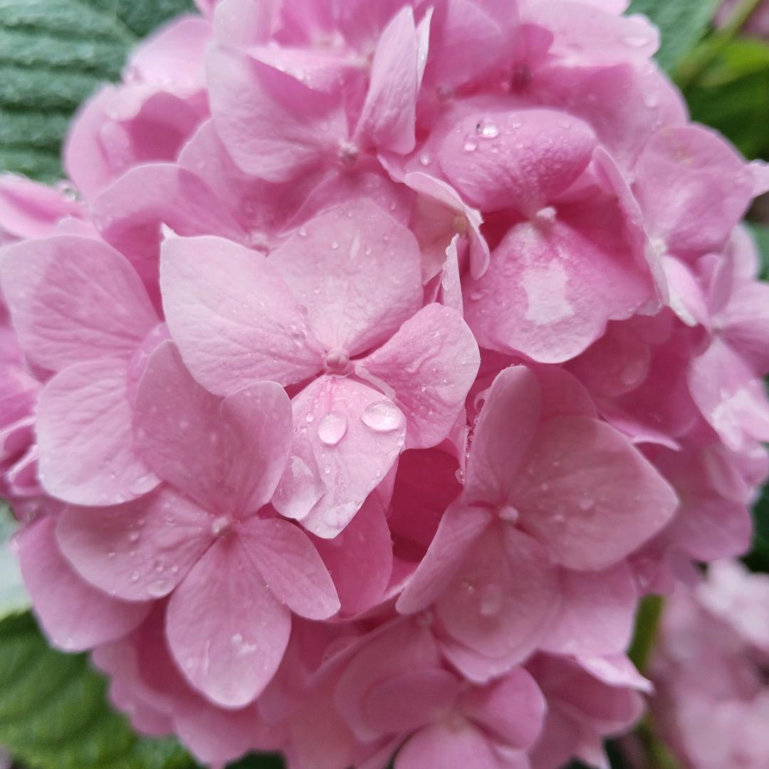 除了健康一切都不重要