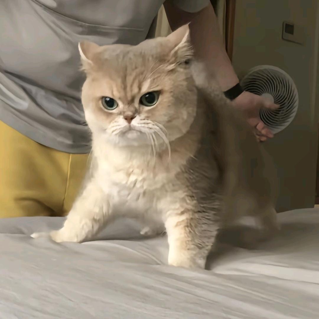 想睡觉不做梦