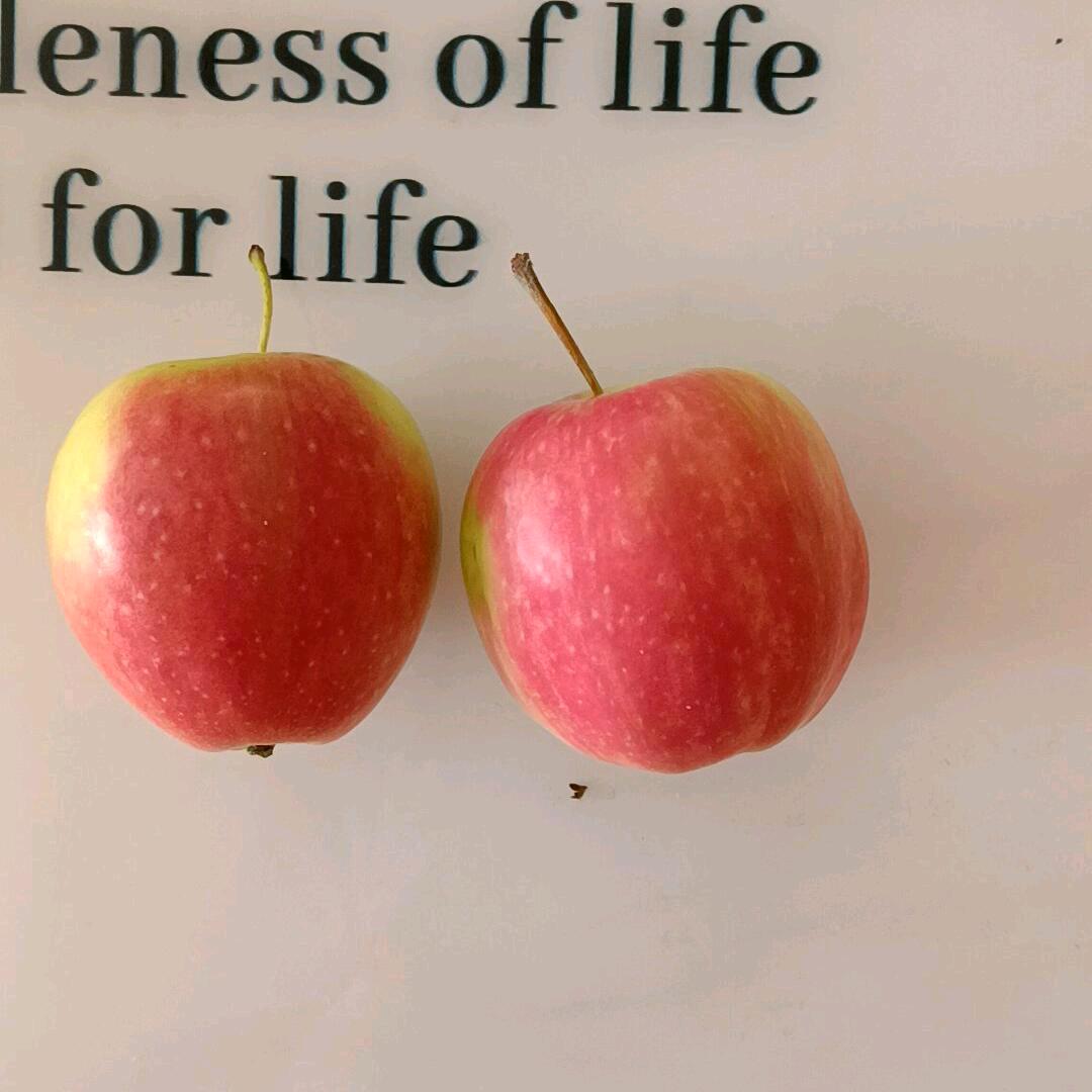 (￣_,￣ )柠檬🍋