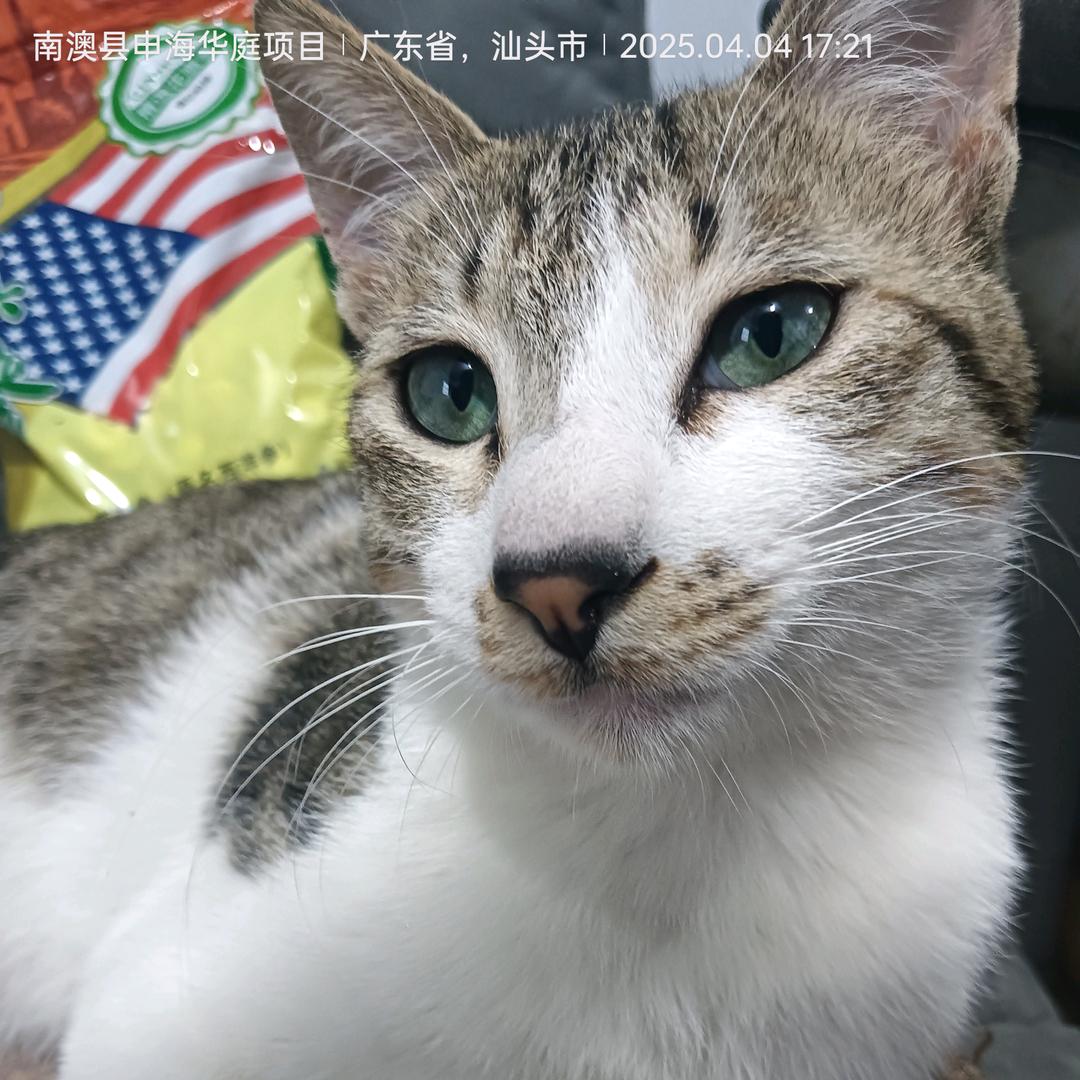 ✨蓝✨根✨斗✨罗✨⁹⁷⁰⁰