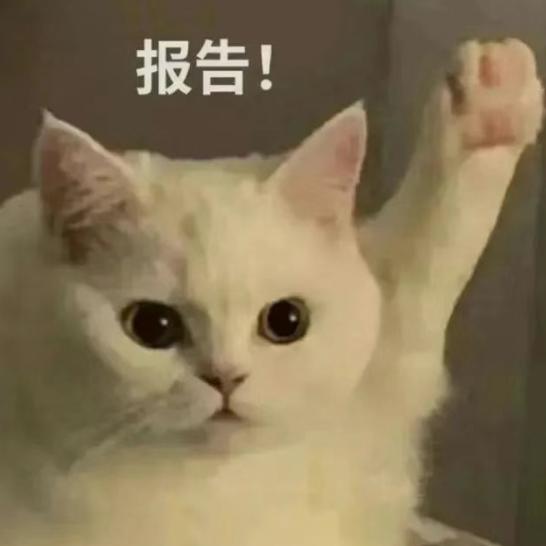 小四🙌