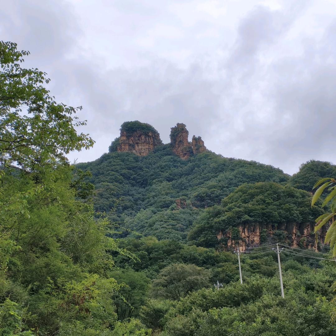 张雷
